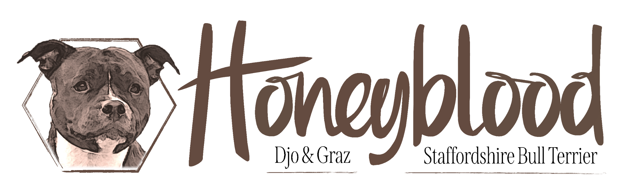 Honeyblood - Djo & Graz